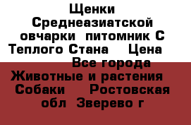 Щенки Среднеазиатской овчарки (питомник С Теплого Стана) › Цена ­ 20 000 - Все города Животные и растения » Собаки   . Ростовская обл.,Зверево г.